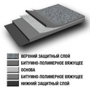 Бикроэласт 1